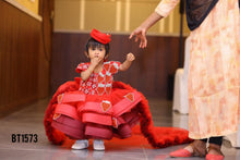 Load image into Gallery viewer, BT1573 Luxury Hand Embroidered Party wear Frock