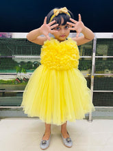 Load image into Gallery viewer, BT281 Single Color Tulle Sleeveless Frock With Heart Shaped Ruffles On Yoke Birthdays
